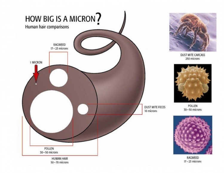 How Small Is A Micron